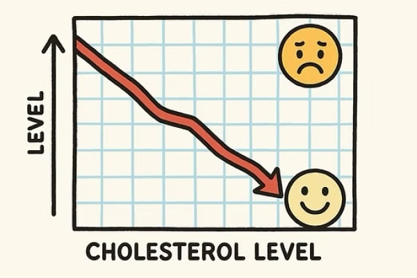 Banner Image of Natural Cholesterol Support