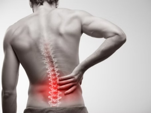 Banner Image of Why Should I See a Physical Therapist for Low Back Pain?